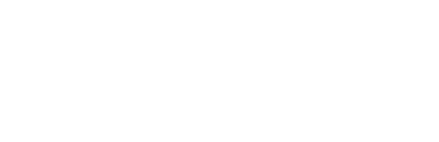 Cleaning Chief